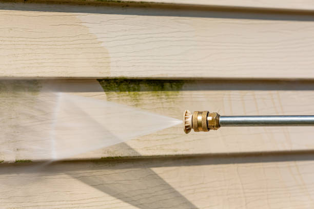 Best House Pressure Washing  in Capitol View, SC